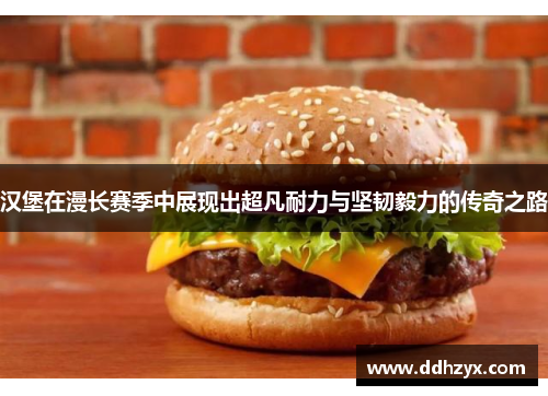 汉堡在漫长赛季中展现出超凡耐力与坚韧毅力的传奇之路 汉堡在漫长赛季中展现出超凡耐力与坚韧毅力的传奇之路