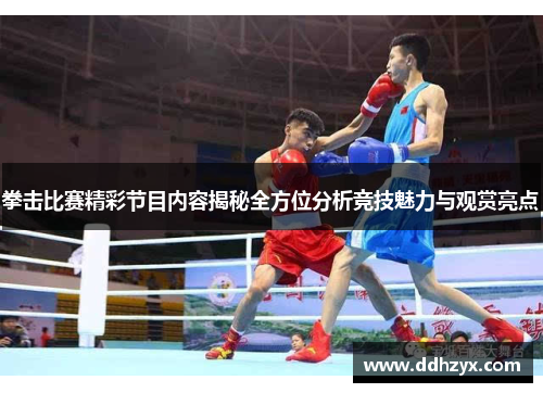 拳击比赛精彩节目内容揭秘全方位分析竞技魅力与观赏亮点