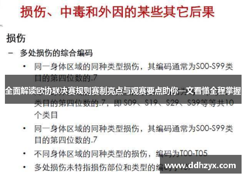 全面解读欧协联决赛规则赛制亮点与观赛要点助你一文看懂全程掌握